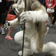Illustration for article titled The Most Astounding Cosplay Weve Seen at Comic-Con (So Far)